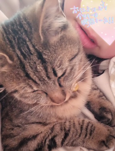 ももの写メ