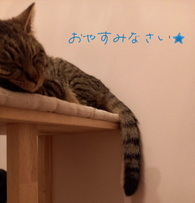 ももの写メ