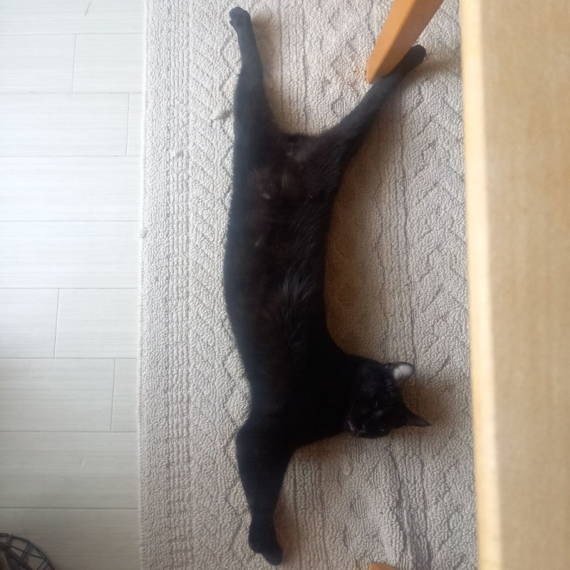 ももの写メ